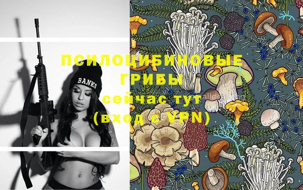 метадон Пересвет