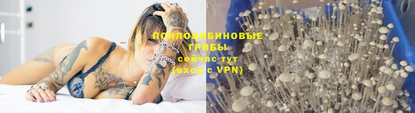 метадон Пересвет