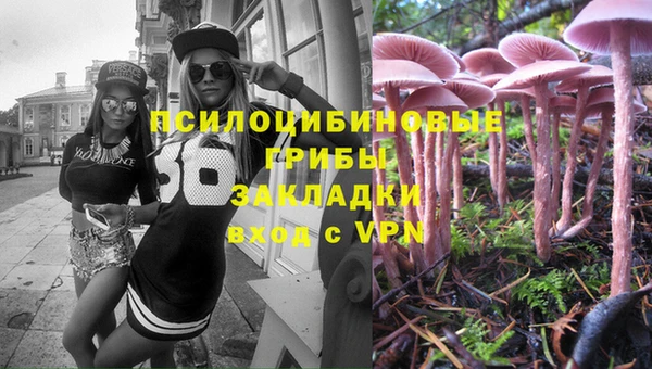 гидропоника Пестово