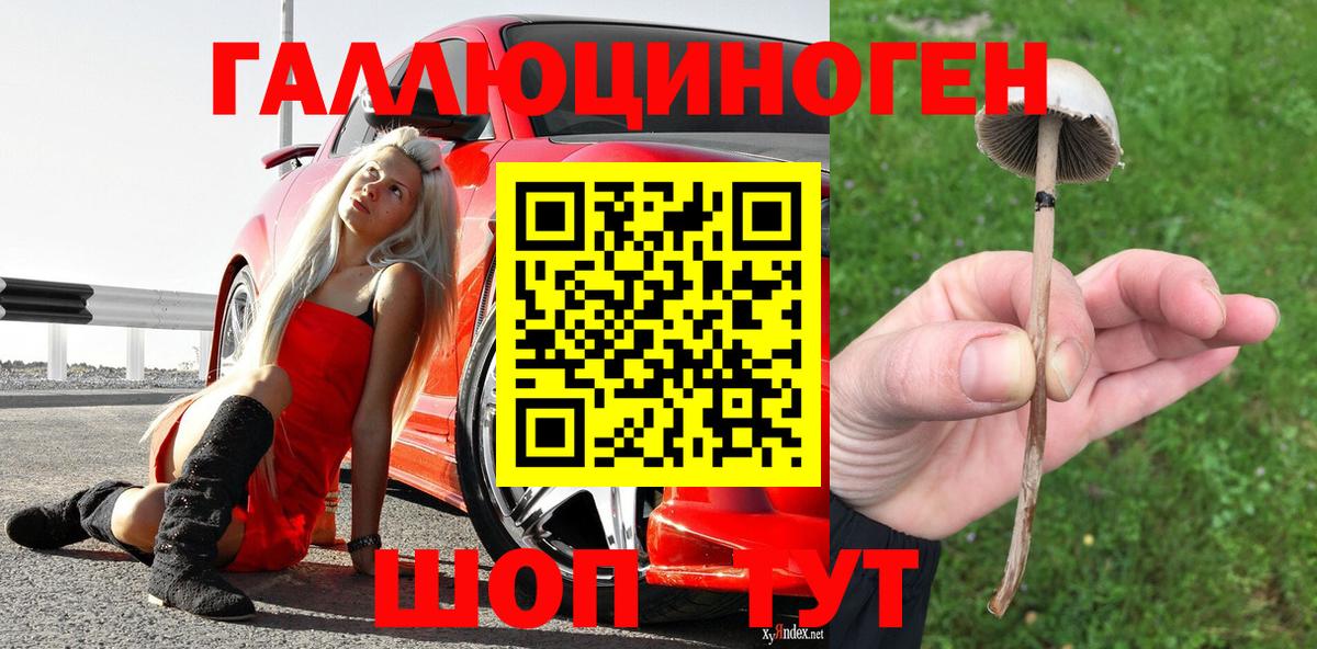 Псилоцибиновые грибы Magic Shrooms  Вход с VPN  Кохма 