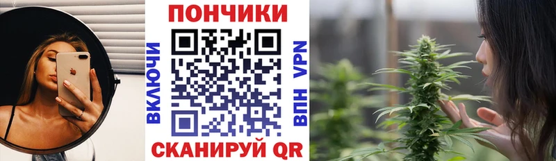 Канабис VHQ  где купить наркоту  Кохма 