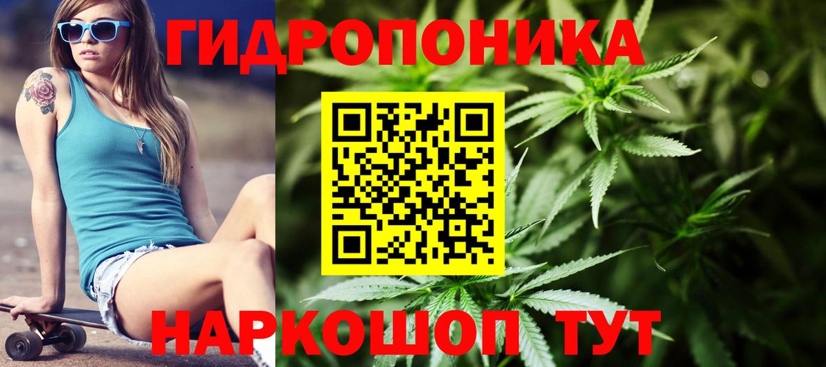 Бошки марихуана White Widow Кохма